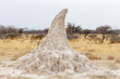 © ArtushFoto - termite mound in Africa