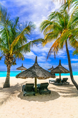 Canvas Print - relaxing tropical holidays in exotic paradise -Mauritius island