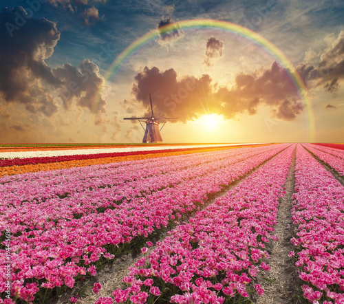 the-road-leading-to-the-dutch-windmills-from-the-canal-in-rotterdam-holland-netherlands
