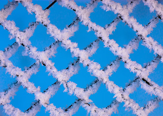 mesh netting in frost. frost on the grid, closeup