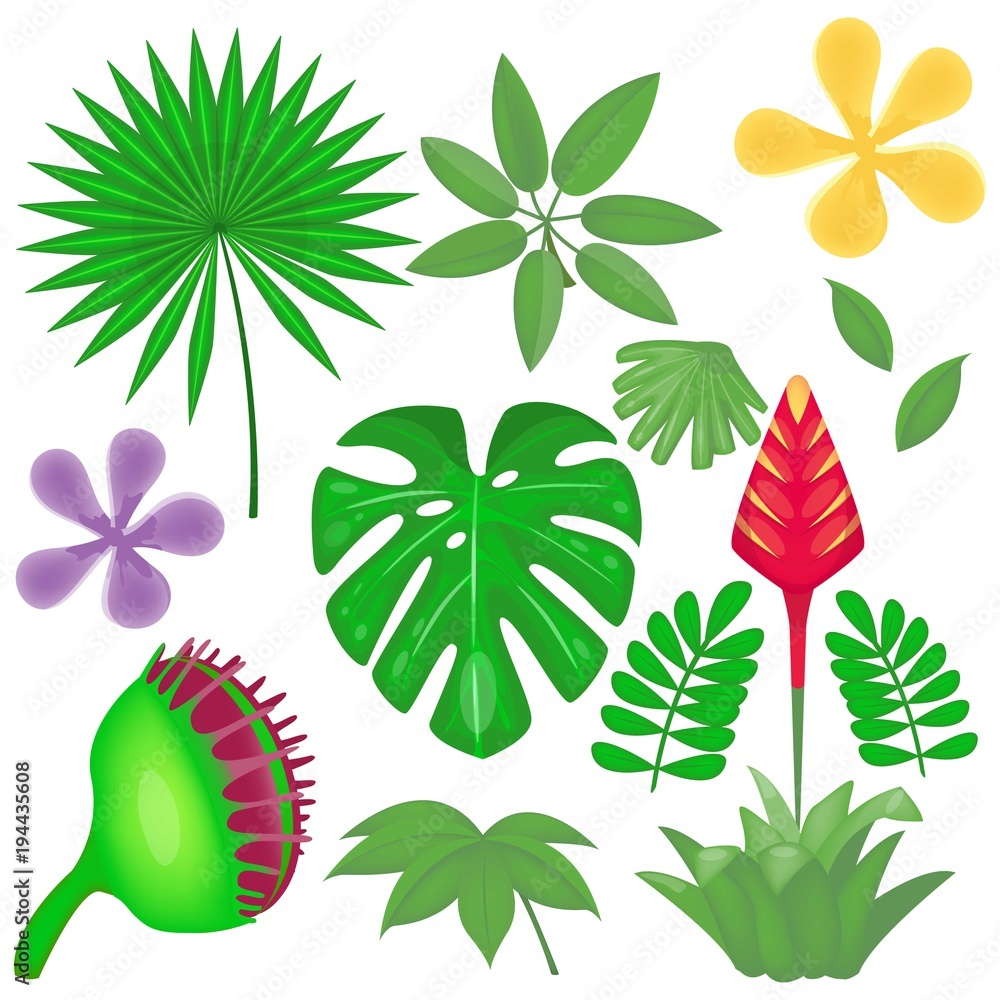 Cartoon Jungle Plants