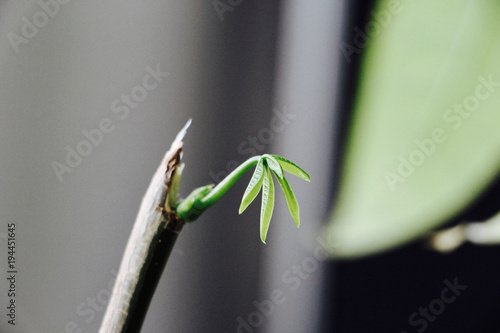 Get Anfangs zu HD Anfangs Zu