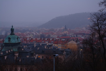 Wall Mural - Prague panorama. Czech. Roofs, architecture. 