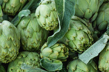 Heap Of Ripe Organic Freshly Picked Artichokes With Green Leaves At Farmers Market. Bright Vibrant Colors. Vitamins Superfoods Healthy Mediterranean Diet Concept. Sunlight Summer Mood. Close Up