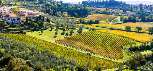 Wall Mural - Traditional rural landscapes and villages of Tuscany. Chianty vine region. Italy