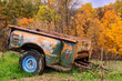 Old pickup truck bed converted to trailer and abandoned in woods.