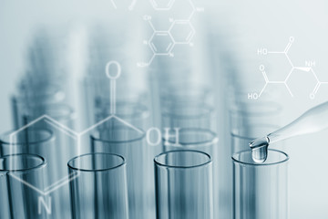 Wall Mural - science laboratory test tubes with chemical formula on screen , lab equipment for research new medic
