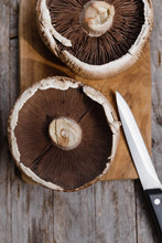 Agaricus Mushrooms