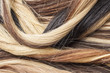 © TrainedPets - Real hair closeup. Hair texture pattern macro photo. Human european women's hair extension.