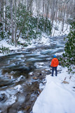 Fototapeta Morze - Winter Scenery At Roan Mountain Tennessee