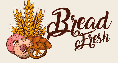 Wall Mural - bread fresh donuts pretzel wheat banner vector illustration