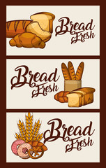 Poster - bread fresh banners food delicious vector illustration