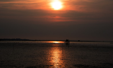 Wall Mural - colorful of sunset on sea scape background