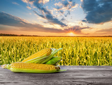 Ripe Yellow Corn On Wooden Table In Background Of Cornfield
