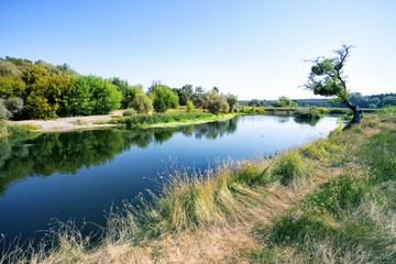 Wall Mural - Tranquil river flowing through field with green trees