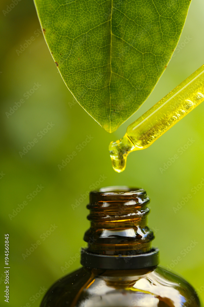 pure natural oil. Glass pipette with Pure Natural Essential Oil and a green leaf with a drop of oil on a green blurred background.Organic Botanical Serum. - obrazy, fototapety, plakaty 