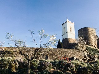 clock tower of old castle