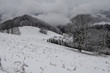 Zimowa panorama górska Pieniny 