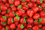 Fototapeta  - Strawberry. Fresh organic berries macro. Fruit background