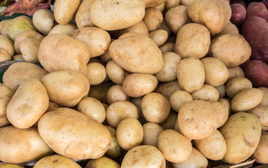 Wall Mural - The new harvest white potatoe sold at city farmers market