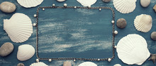 Banner Set Sea Shell Decorative Frame Place For Text.