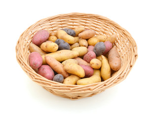 Wall Mural - Fresh colorful potatoes red white blue in basket on white background