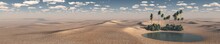 Oasis, A Panorama Of The Desert Of Sand
3D Rendering

