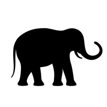 Elephant Vector Silhouette Icon