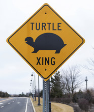 Turtle Crossing Sign