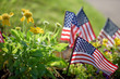 © David Prahl - low angle view of little united states flags in flower bed