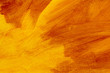 close-up abstract orange background oil painting artwork