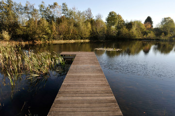 Sticker - nature lac eau paysage environnement