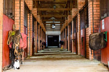 Empty Horse Stable