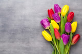 Fototapeta Tulipany - Multicolored spring flowers, tulip on a gray background.