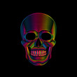 Graphic print of stylized skull in spectrum colors on black background. Linear drawing.