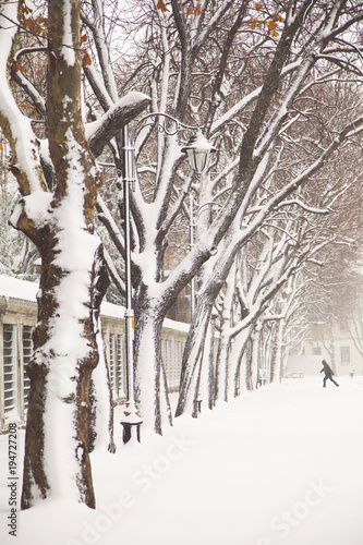 Sultanahmet Park During A Snow Storm In Winter Time In Istanbul