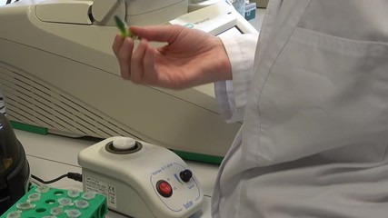 Canvas Print - NOVOSIBIRSK, RUSSIA APRIL 21, 2017: Molecular genetic research center. The researcher prepares an experimental sample in a modern biological laboratory