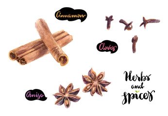 Spices: star anise, clove, cinnamon on a white background. Illustration painted watercolors.