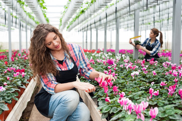 Two young florists women working with flowers in a greenhouse, smiling.