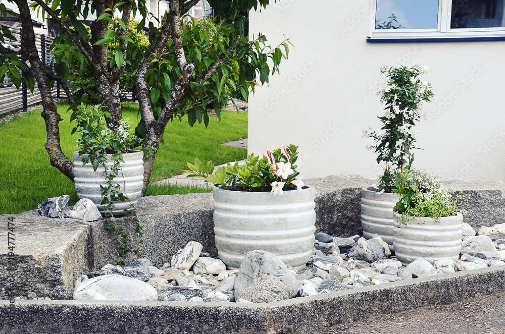 Stone garden arrangement at house entrance with green and white plants and  concrete plant pots Stock Photo | Adobe Stock