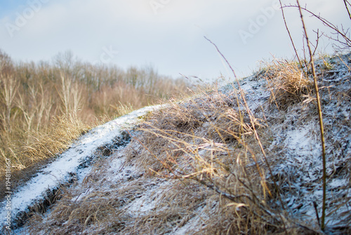 Dry Yellow Grass Covered With White Snow On A Sunny Winter Day