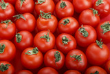 Fototapeta Kuchnia -  Fresh tomatoes. It can be used as background. (selective focus).Delicious red tomatoes.