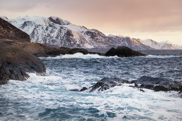 Wall Mural - seascape during sunrise. beautiful natural landscape on the seashore