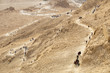 A  tourists returning from the  Masada on the snake path in the Judean Desert
