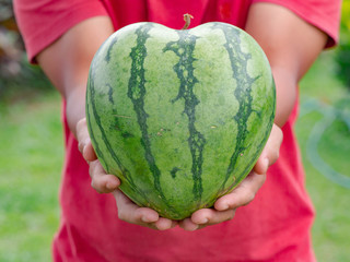 Watermelon heart shape