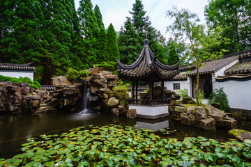 nice asian garden