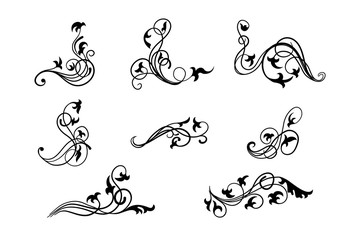  Collection floral hand drawn decorative element vintage style. Traced by hand from own sketch