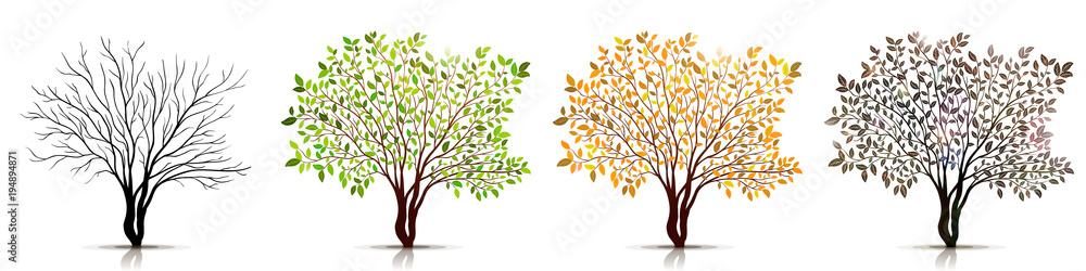 Seasons of tree vector - obrazy, fototapety, plakaty 