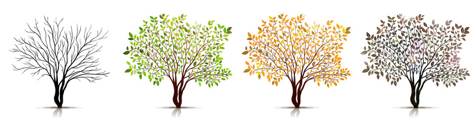 seasons of tree vector
