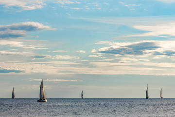 Wall Mural - Sailboats traveling by Baltic sea